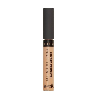 Barry M All Night Long Concealer Hazelnut Barry M All Night Long Concealer Hazelnut